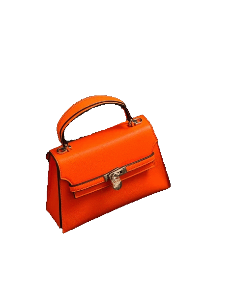 Leather Bag